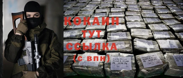 Альфа ПВП Аркадак