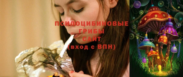 2c-b Заводоуковск