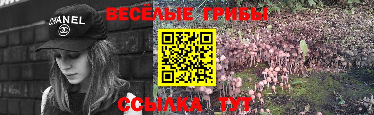 Псилоцибиновые грибы Psilocybine cubensis  Вход с VPN  Нарьян-Мар  Псилоцибиновые грибы Psilocybine cubensis 